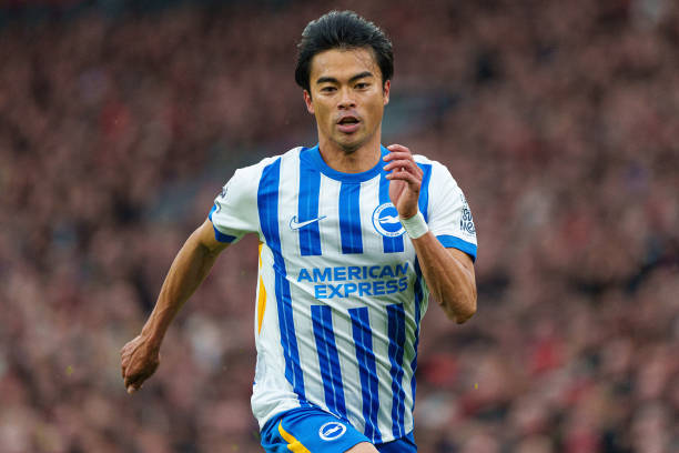 正如我们所 正如我们所