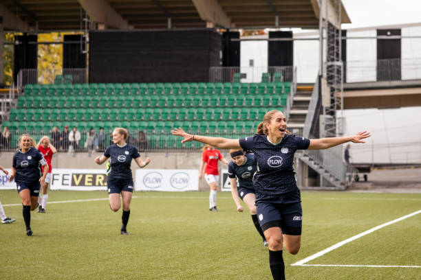 为家乡争取 为家乡争取